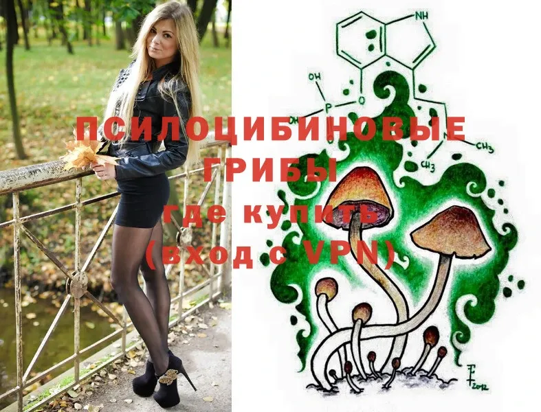 купить наркотик  Сорочинск  Галлюциногенные грибы MAGIC MUSHROOMS 